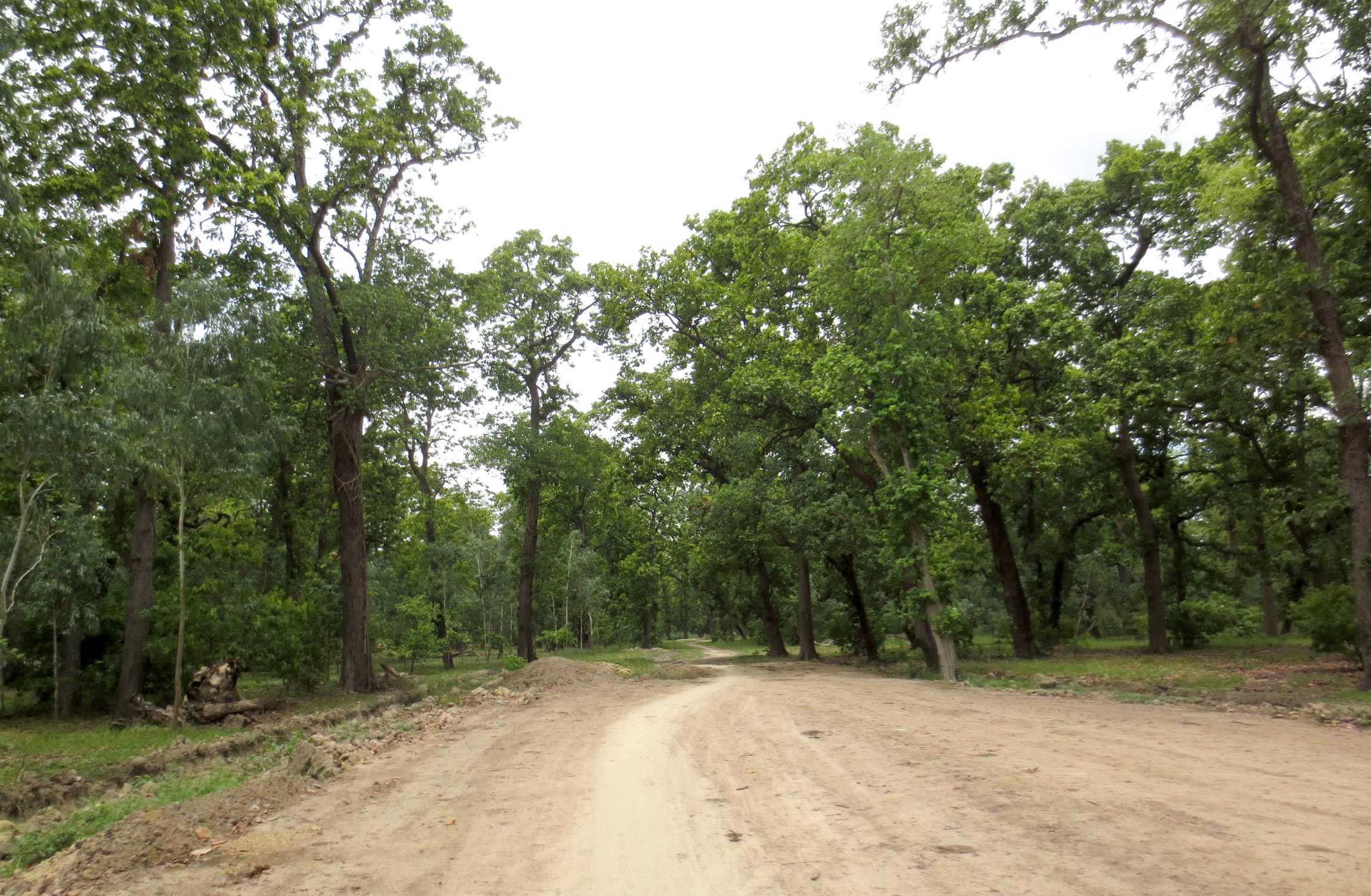 हुलाकी सडक : थपिएको समय सकियो तर निर्माण सकिएन