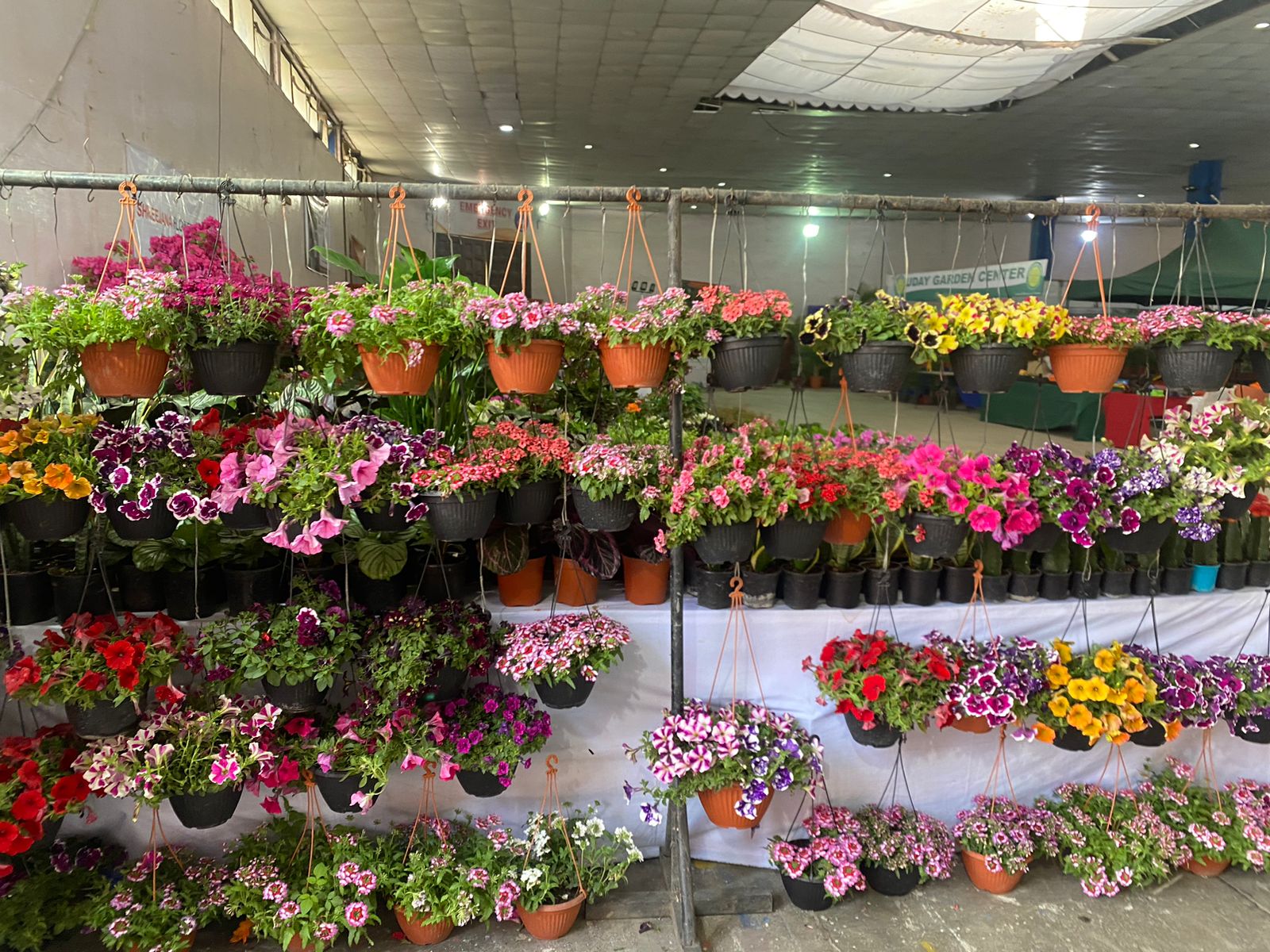 सुरु भयो पहिलो नेशनल हर्टिकल्चर एक्स्पो