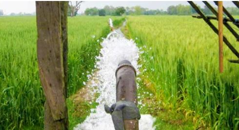 चुरेमा छवटा सिँचाइ योजनाको काम सुरु