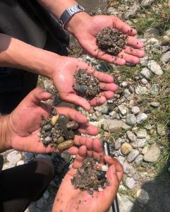 त्रिवि भूगोल केन्द्रीय विभागमा माटो परीक्षण तालिम