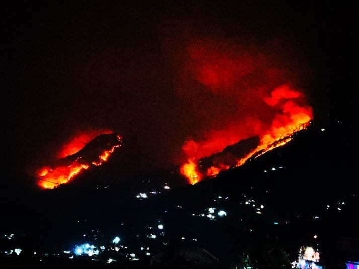 जङ्गलभरि आगलागीः बासस्थान खोज्दै गाउँ झरे वन्यजन्तु