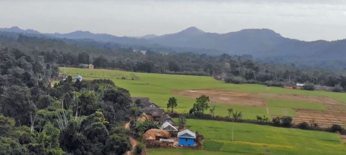 फूल नफुल्ने फूलबारी