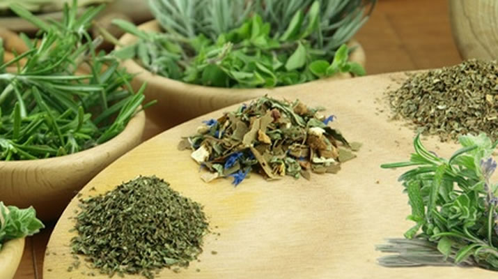 जडीबुटी प्रशोधन उद्योगमा आगलागी