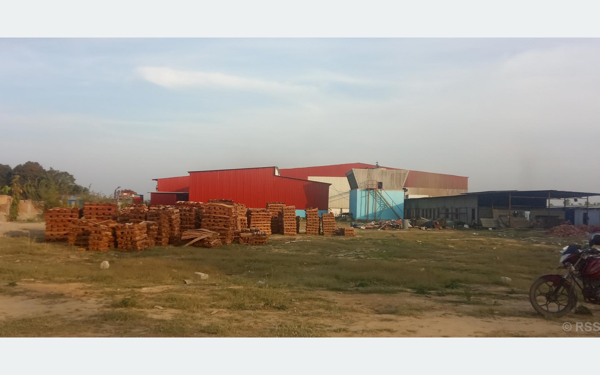 निजी क्षेत्रबाट सञ्चालित प्लाइउड उद्योगले दिन्छ ३ सय स्थानीइलाई रोजगारी