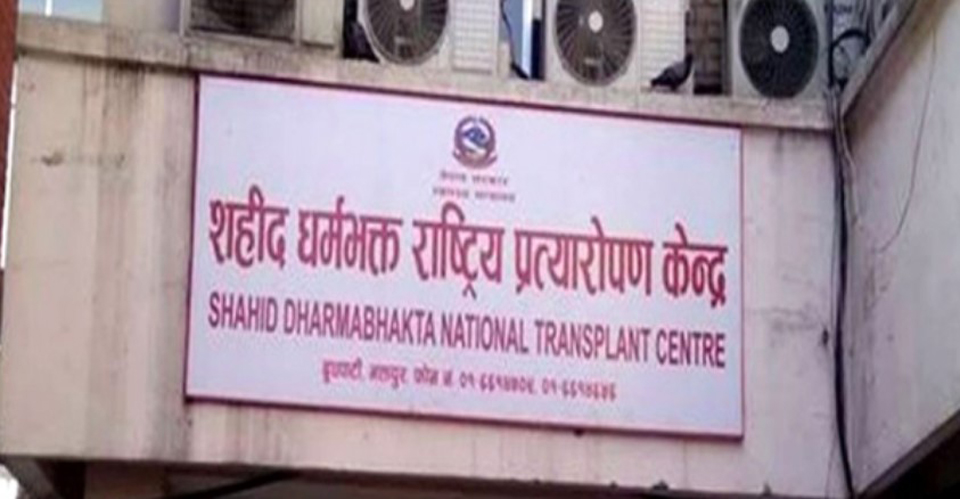 १२ वर्षमा १२ सयको मिर्गौला प्रत्यारोपण