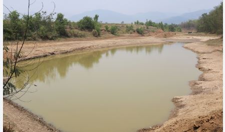 मानव–वन्यजन्तु द्वन्द्व न्यूनीकरणका लागि वनमा पोखरी