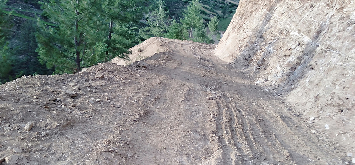 पुल भाँचिएर रोकिएका सवारी वैकल्पिक मार्गबाट सञ्चालन