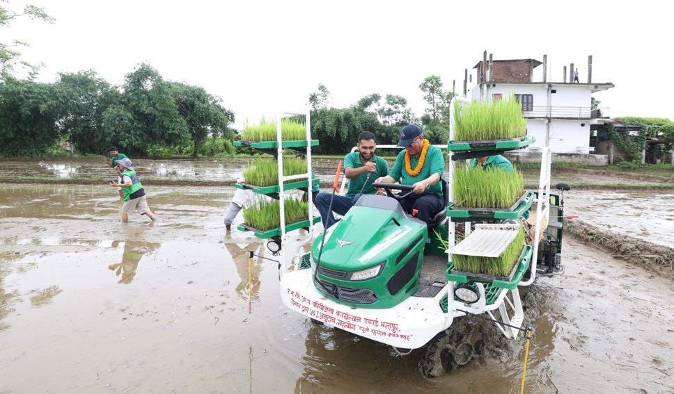 धान दिवसमा रोपाई गर्दै प्रधानमन्त्री प्रचण्ड (फोटोफिचर)
