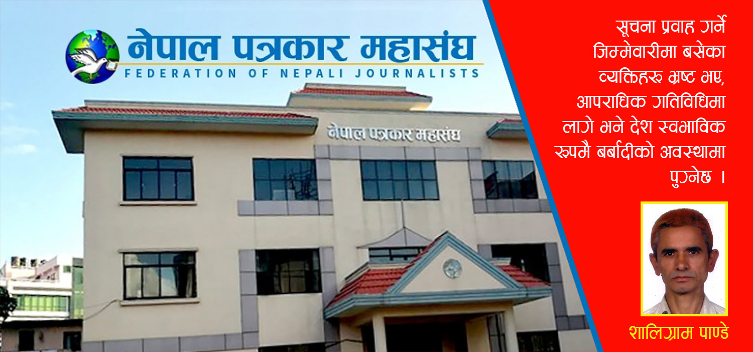 नेता पत्रकारहरूको पद लोलुपता र स्वार्थको रोइलो