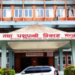 ‘डिडिसी’बाट सित्तैमा दूध-घिउ खाने व्यवस्था तत्काल रोक्न कृषिमन्त्रीको निर्देशन