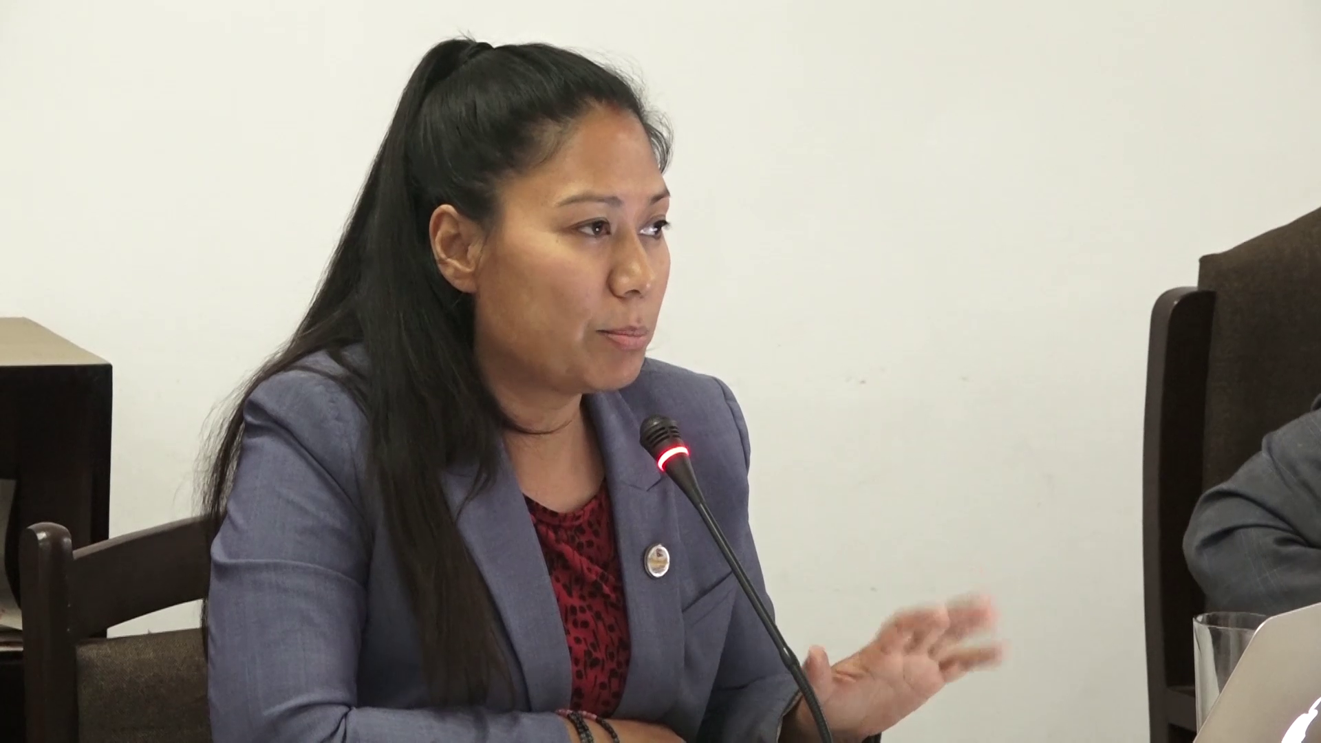 निःशुल्क शिक्षाका लागि थप बजेट विनियोजन गर्न मन्त्री श्रेष्ठको आग्रह