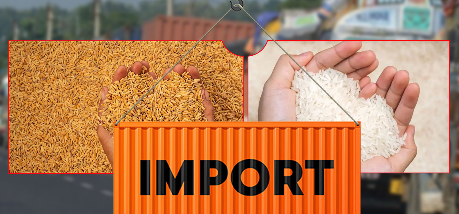 खाद्यान्नमा परनिर्भरता झन् झन् बढ्दै, ११ महिनामा २० अर्बको धान–चामल आयात