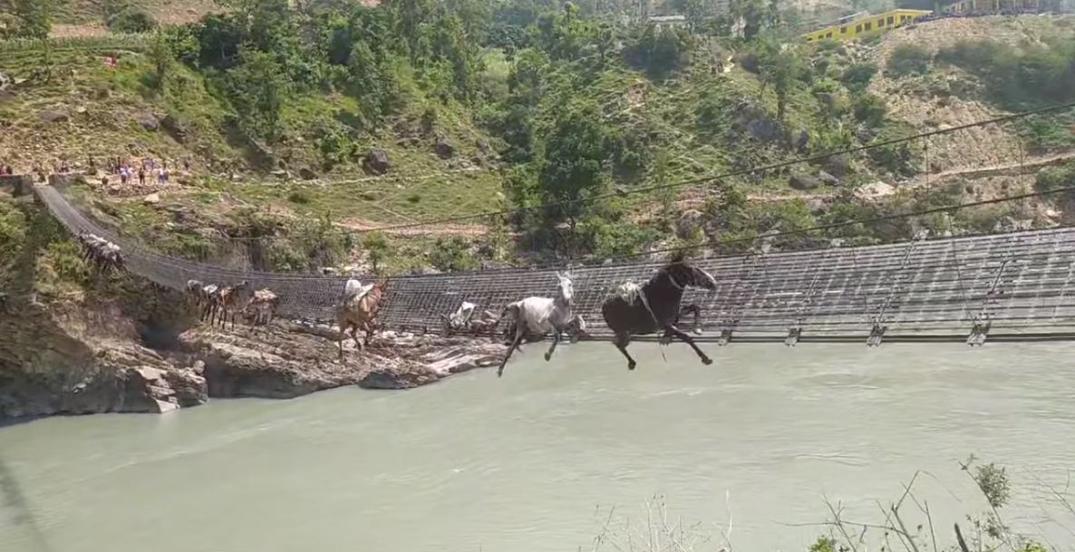 खच्चड नदीमा खसेको झोलुङ्गे पुलबाट आवागमन बन्द