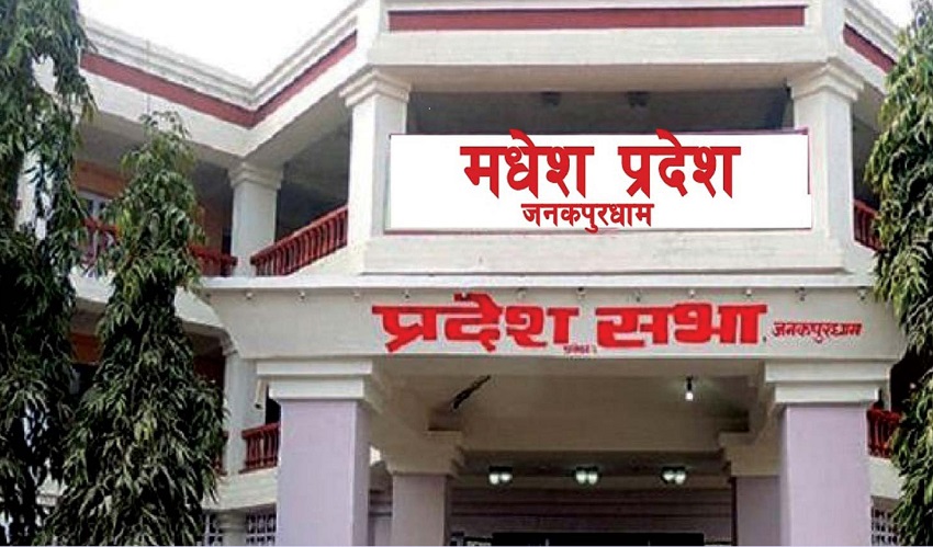 मधेश प्रदेशको नीति तथा कार्यक्रम प्रस्तुत हुँदै