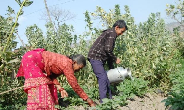 भूमिगत जलस्रोत कार्यालय प्रमुखविहीन हुँदा किसान मारमा