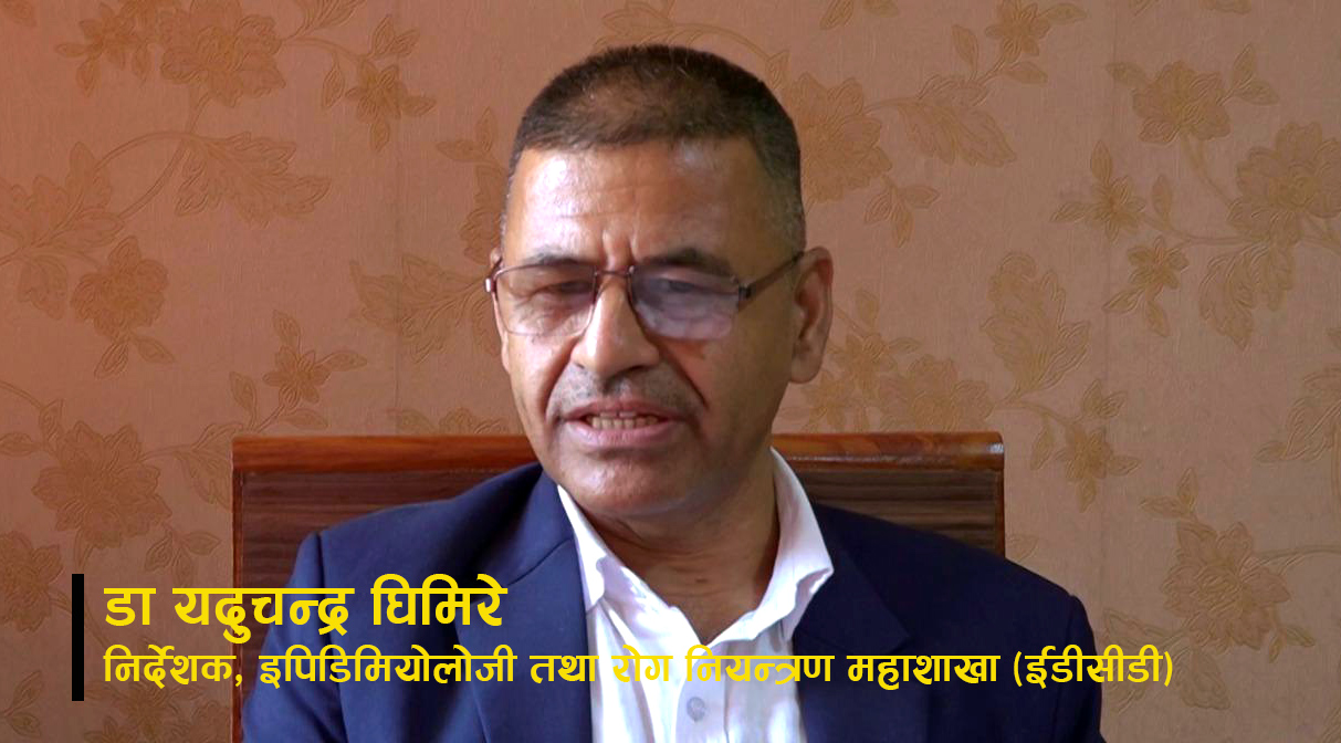 ईडीसीडीका निर्देशकलाई प्रश्न– डेङ्गु सङ्क्रमण भयावह बन्न लागेको हो ? कसरी हुँदैछ नियन्त्रण ? (अन्तर्वार्ता)