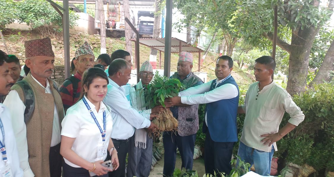 किसानलाई आत्मनिर्भर बनाउन पाँच हजार बिरुवा वितरण