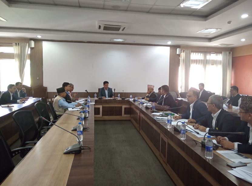 उद्योगमन्त्री भण्डारीद्वारा प्रमुख सचेतकहरुसँग छलफल