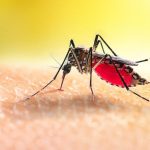 डेङ्गु नियन्त्रणका लागि प्रभावकारी कार्यक्रम सञ्चालन गर्न मन्त्रालयको निर्देशन