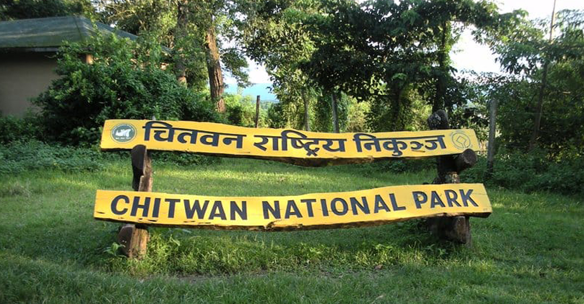चितवन राष्ट्रिय निकुञ्ज घुम्नेमा स्वदेशी भन्दा विदेशी बढी