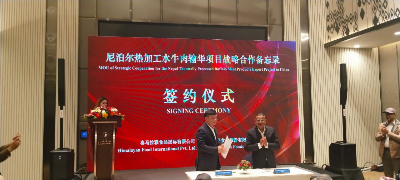 नेपालको हिमालय फुड इन्टरनेशनल र चीनको सांघाई फुडबीच भैंसीको मासु निर्यात गर्ने सम्झौता