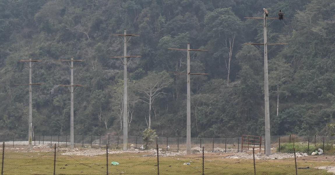 गिद्ध संरक्षण गर्न तनहुँ जलविद्युत आयोजनाले बनायो आरामस्थल