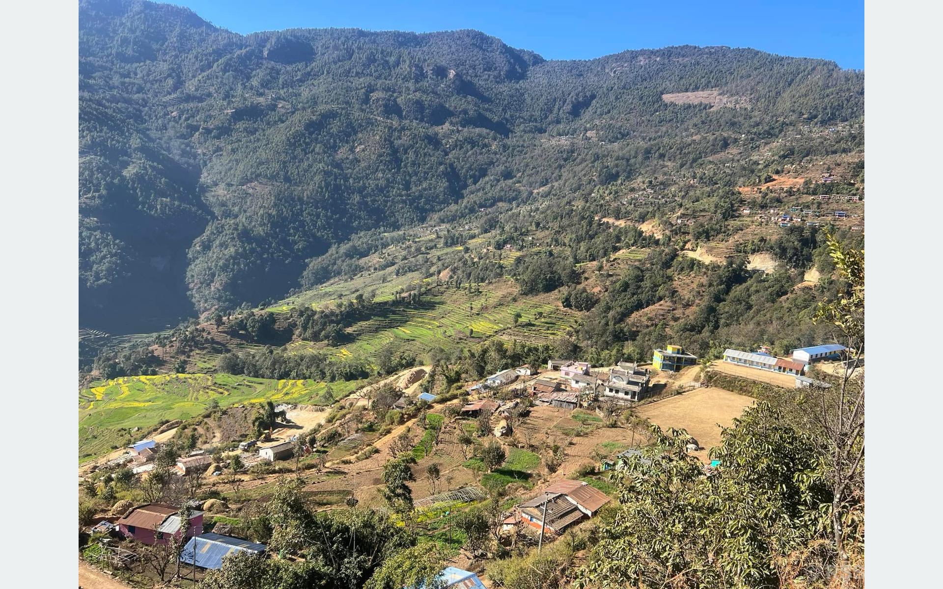 बसाइँसराइले बस्ती सुनसान, खेतीयोग्य जमिनमा झाडी पलायो