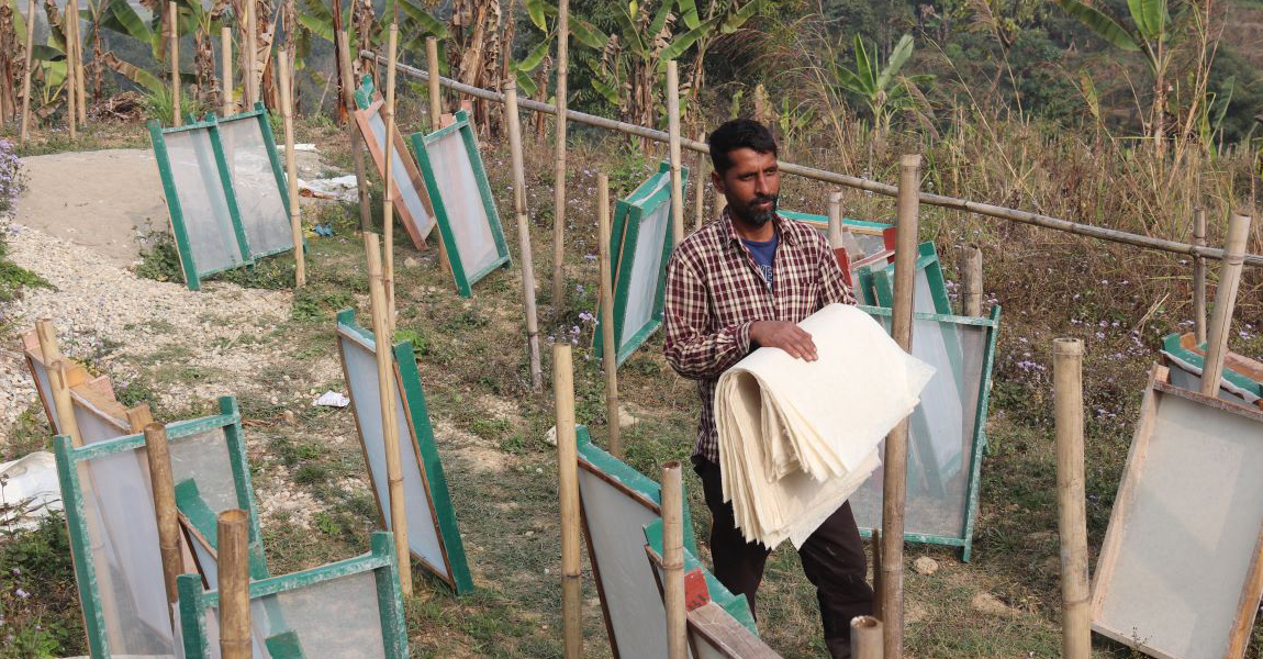 इन्टरनेटमा हेरेरै केराको थम्बाबाट कागज उत्पादन गरिरहेका प्रेमप्रसाद