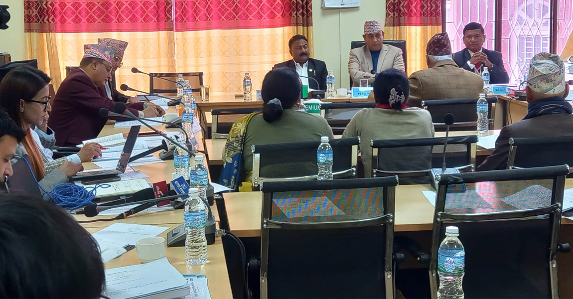 सङ्घीय निजामती सेवा विधेयक चाँडो पारित गर्न उपसमिति गठन