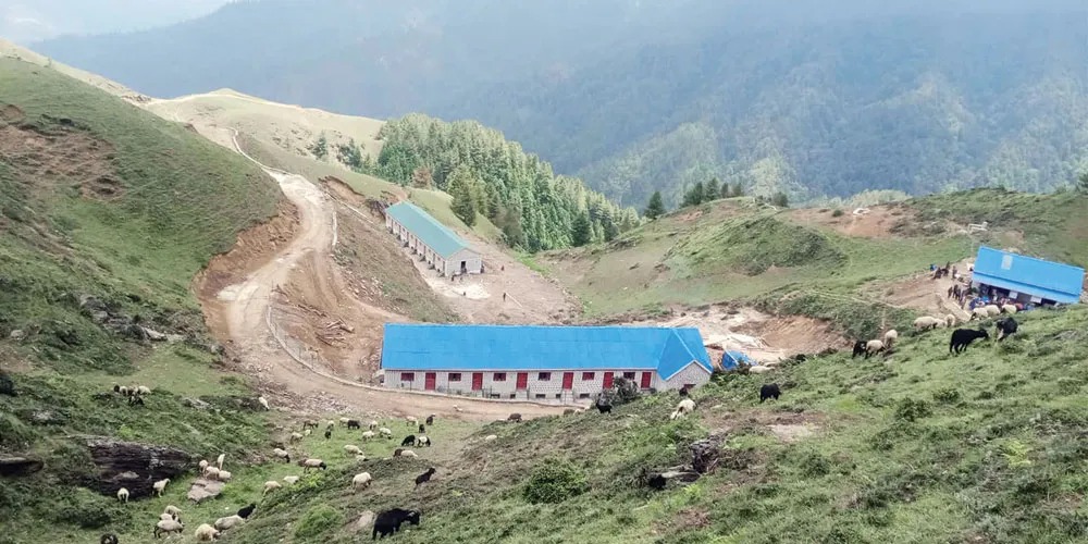 एकवर्षदेखि बन्द जुम्लाकोट पशुसेवा केन्द्र पुनःसञ्चालनमा