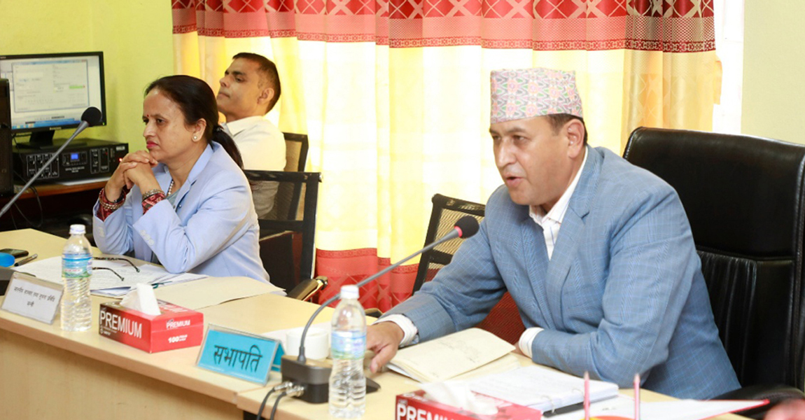 संवैधानिक परिषद्सम्बन्धी विधेयक पारित