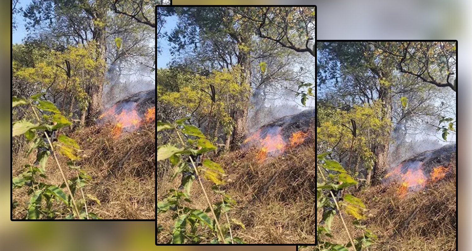 काठमाडौंको केउरानी वनमा आगलागी