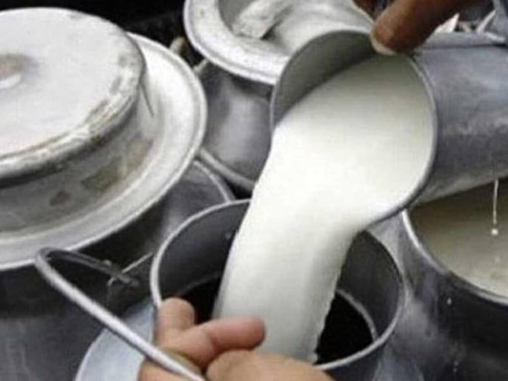 दूधमा आत्मनिर्भर उन्मुख बन्दै मधेस प्रदेश