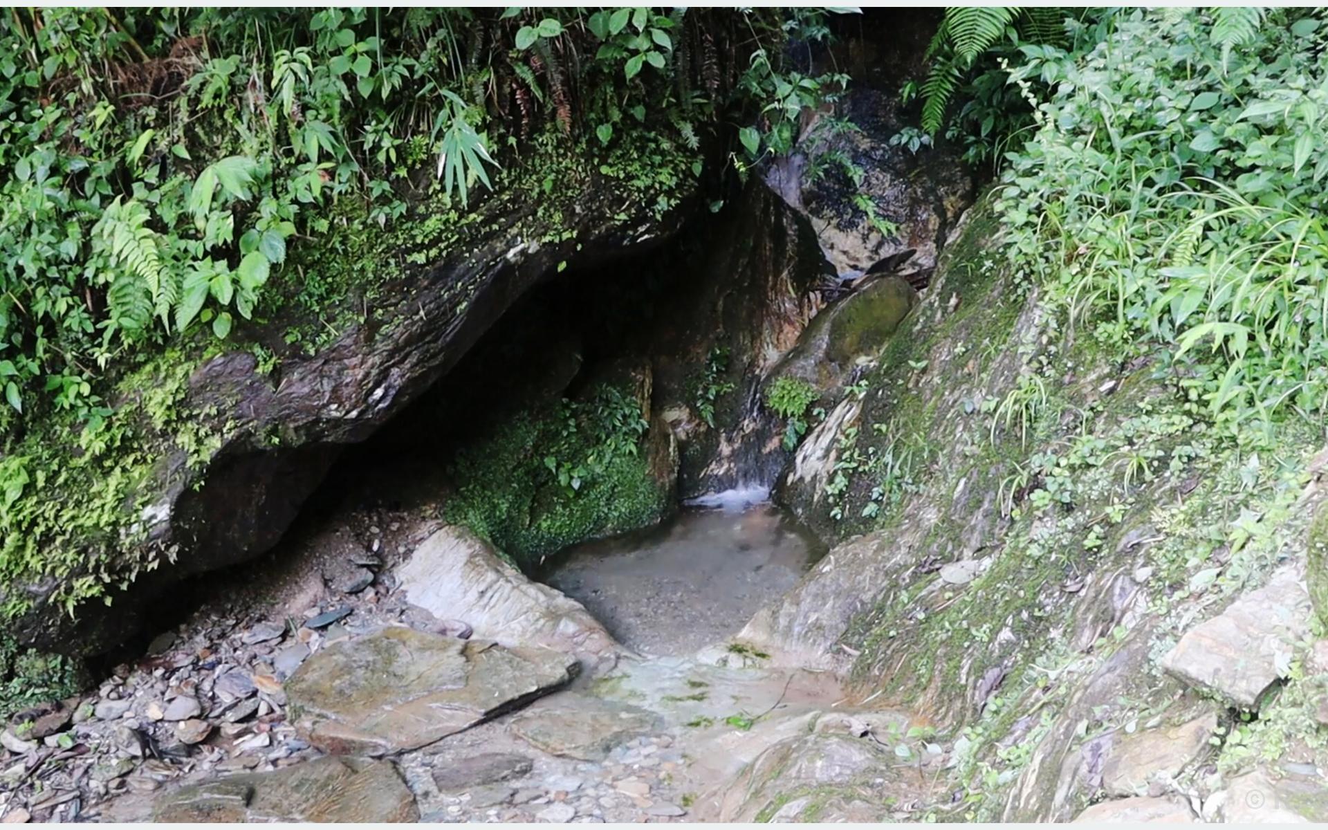 सय बढी खानेपानीको मुहानमा भेटियो कोलिफर्म 