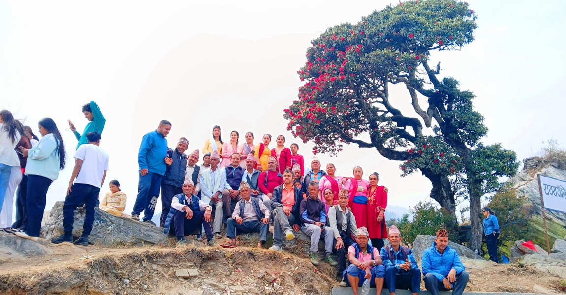 पर्यटक लोभ्याउँदै गुराँस