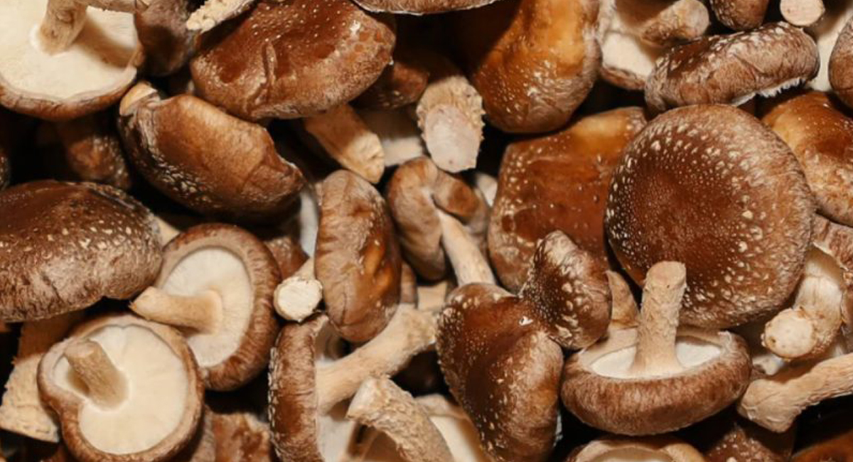 सिताके च्याउ किलोको ७८० रुपैयाँ, अन्य तरकारी र फलफूलको मूल्य कति ?