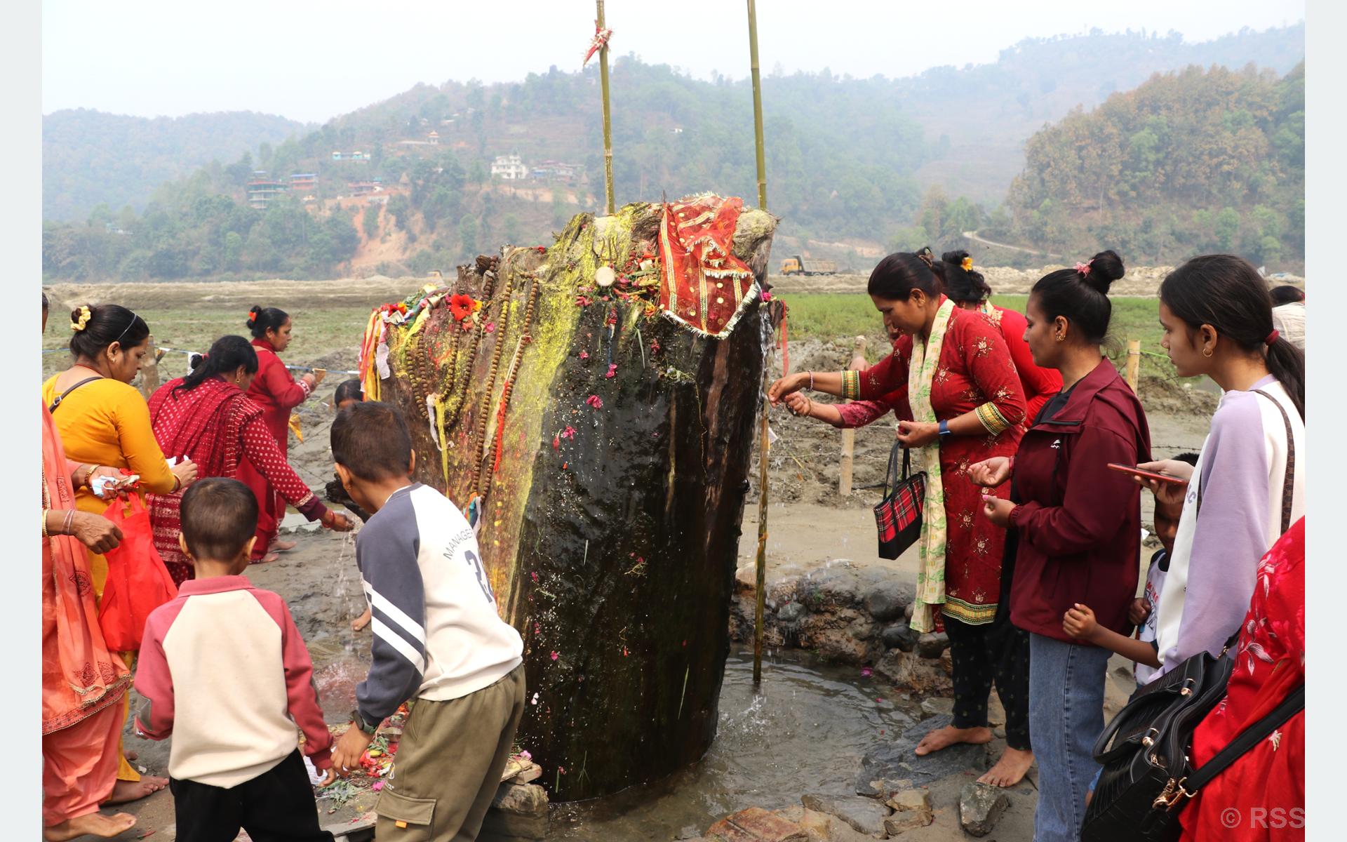 रूखको ठुटोबाट पानी आएपछि…