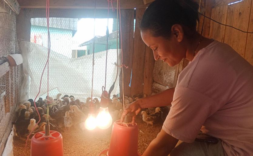 अनुदान दिएर उद्यम प्रोत्साहन गर्दै सूर्योदय नगरपालिका