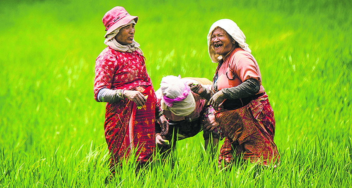 कृषिमार्फत आम्दानी वृद्धि गरिने