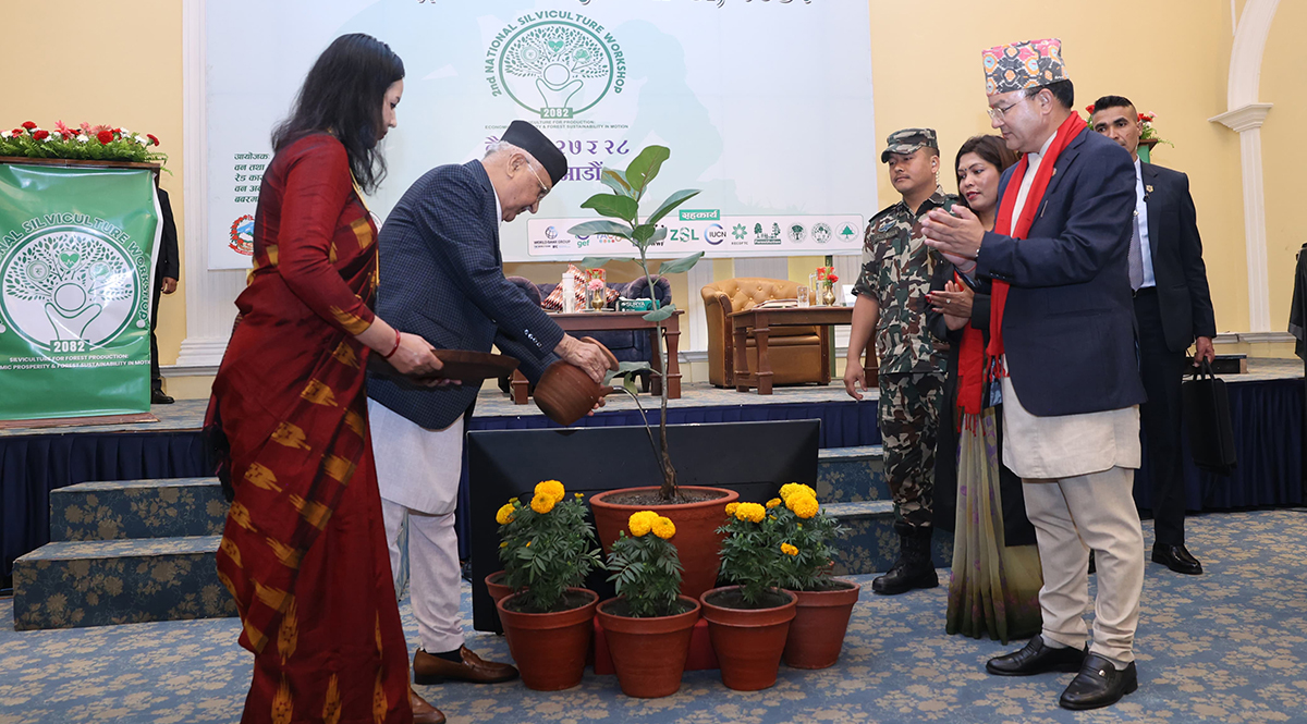 ‘सालघारी फँडानी’ लाई कडाइका साथ रोकिने छ : प्रधानमन्त्री