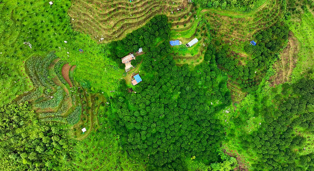 आहा ! क्या गजबको सुन्तलाखेती