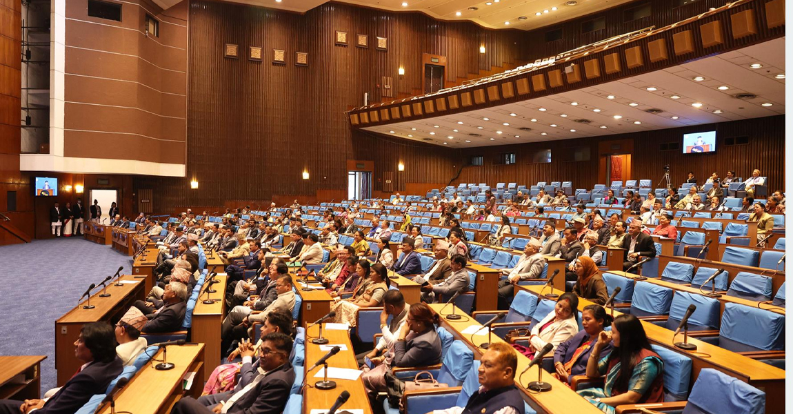 झ्याप्प–झ्याप्प जान थाल्यो  बिजुली, विषय संसद्मा प्रवेश