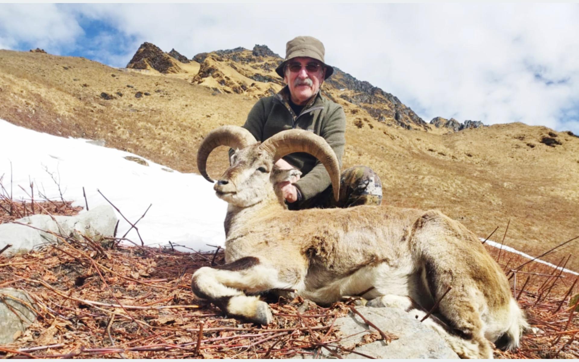 ढोरपाटनमा ११ नाउर र सात झारलको सिकार