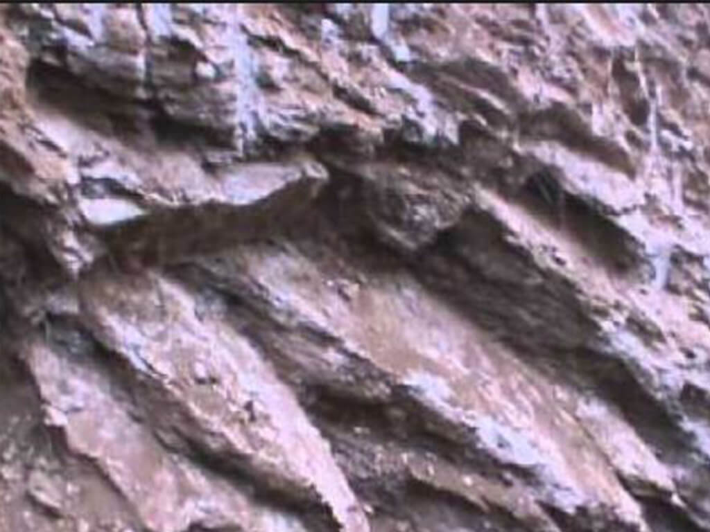 तामाखानी उत्खननका लागि खोजतालस सुरु