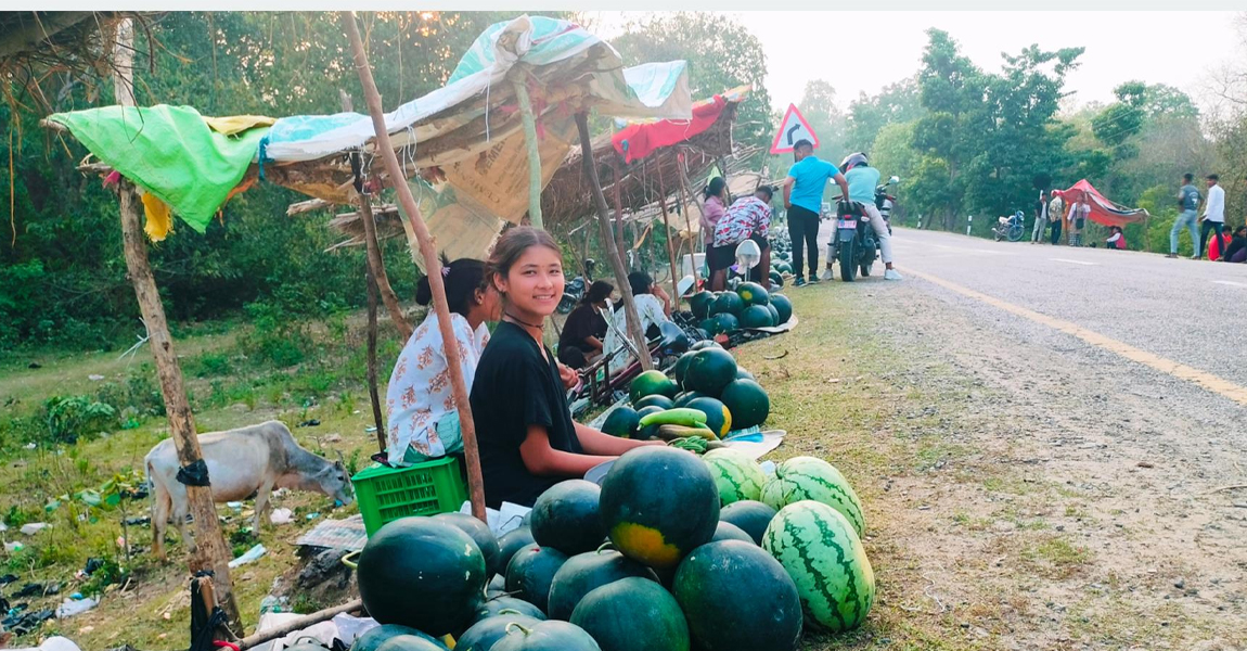 तरबुजाखेती वनहराका मुक्तकमैयाको आयआर्जनको प्रमुख आधार