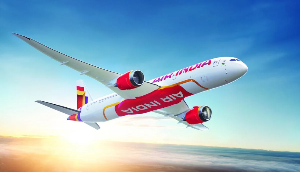 एअर इन्डियाको जहाजमा चरा ठोक्कियो