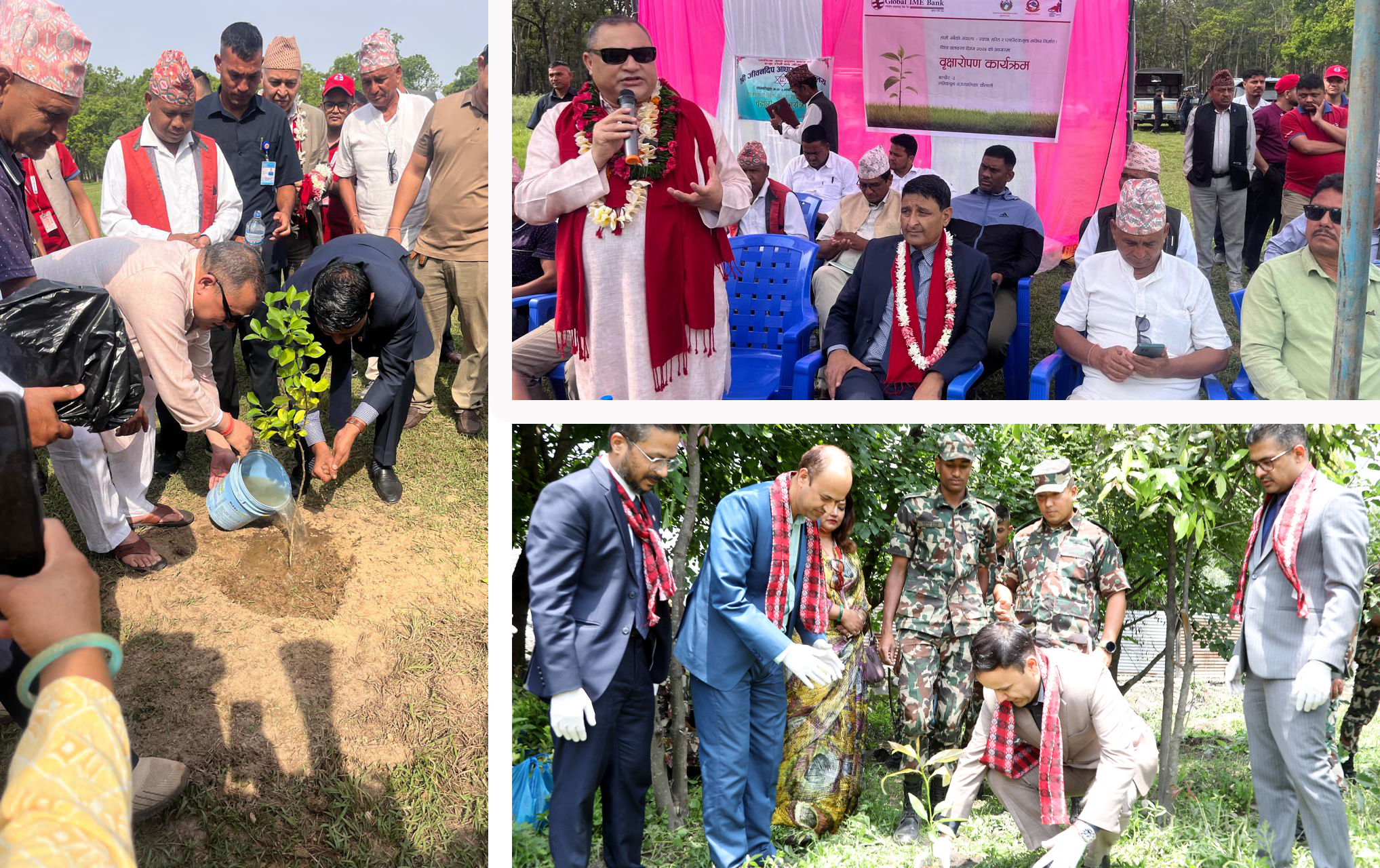 ग्लोबल आइएमई बैंकले गर्‍यो देशव्यापी वृक्षारोपण कार्यक्रम, कुन प्रदेशमा कति विरुवा रोपियो ?