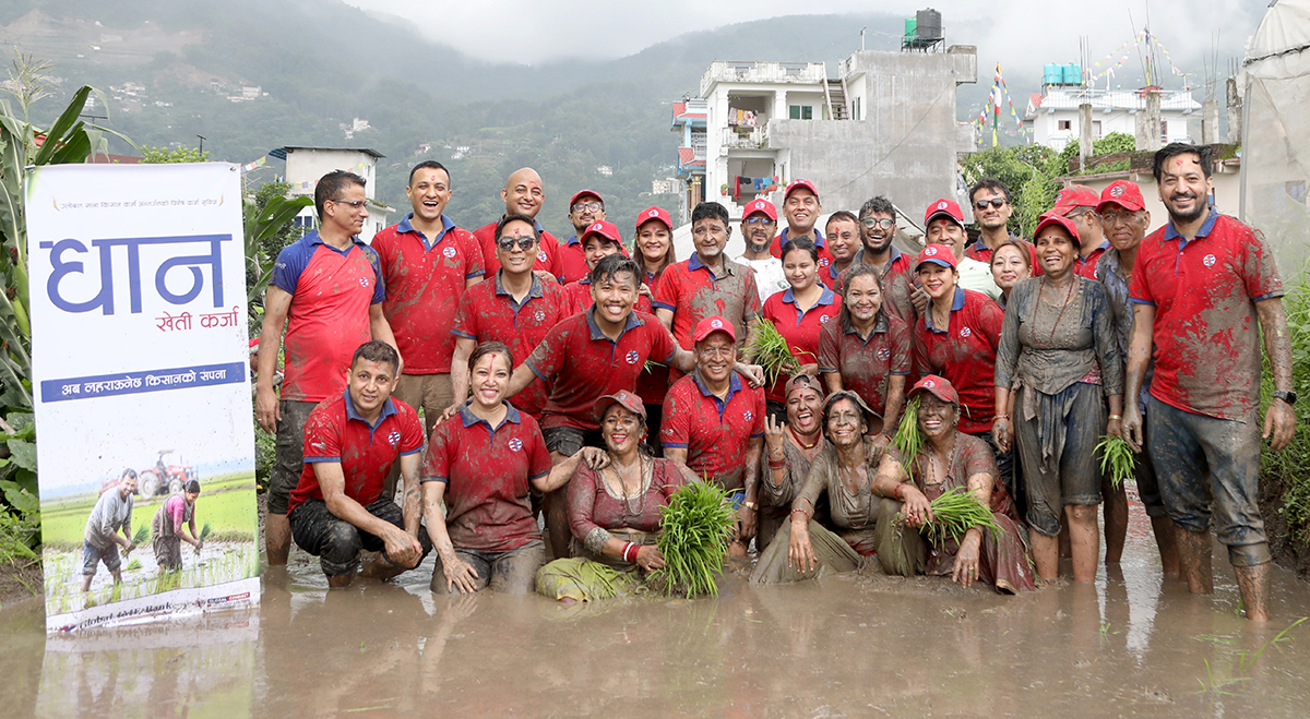 धान दिवस मनाउँदै ग्लोबल आईएमई बैंकले सार्वजनिक गर्‍यो ‘धान खेती कर्जा’