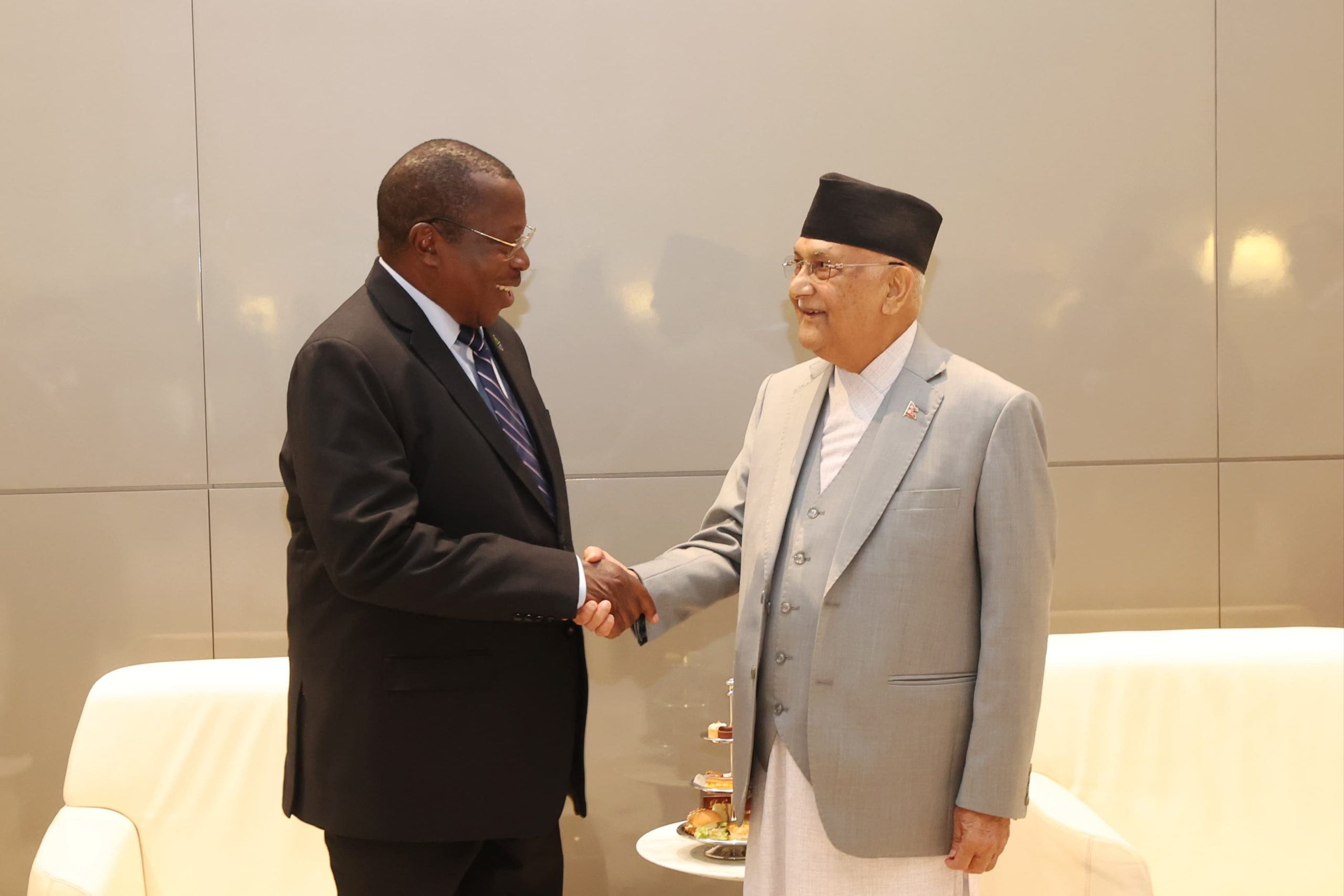 प्रधानमन्त्री ओली र तान्जानियाका उपराष्ट्रपति फिलिपबीच भेटवार्ता