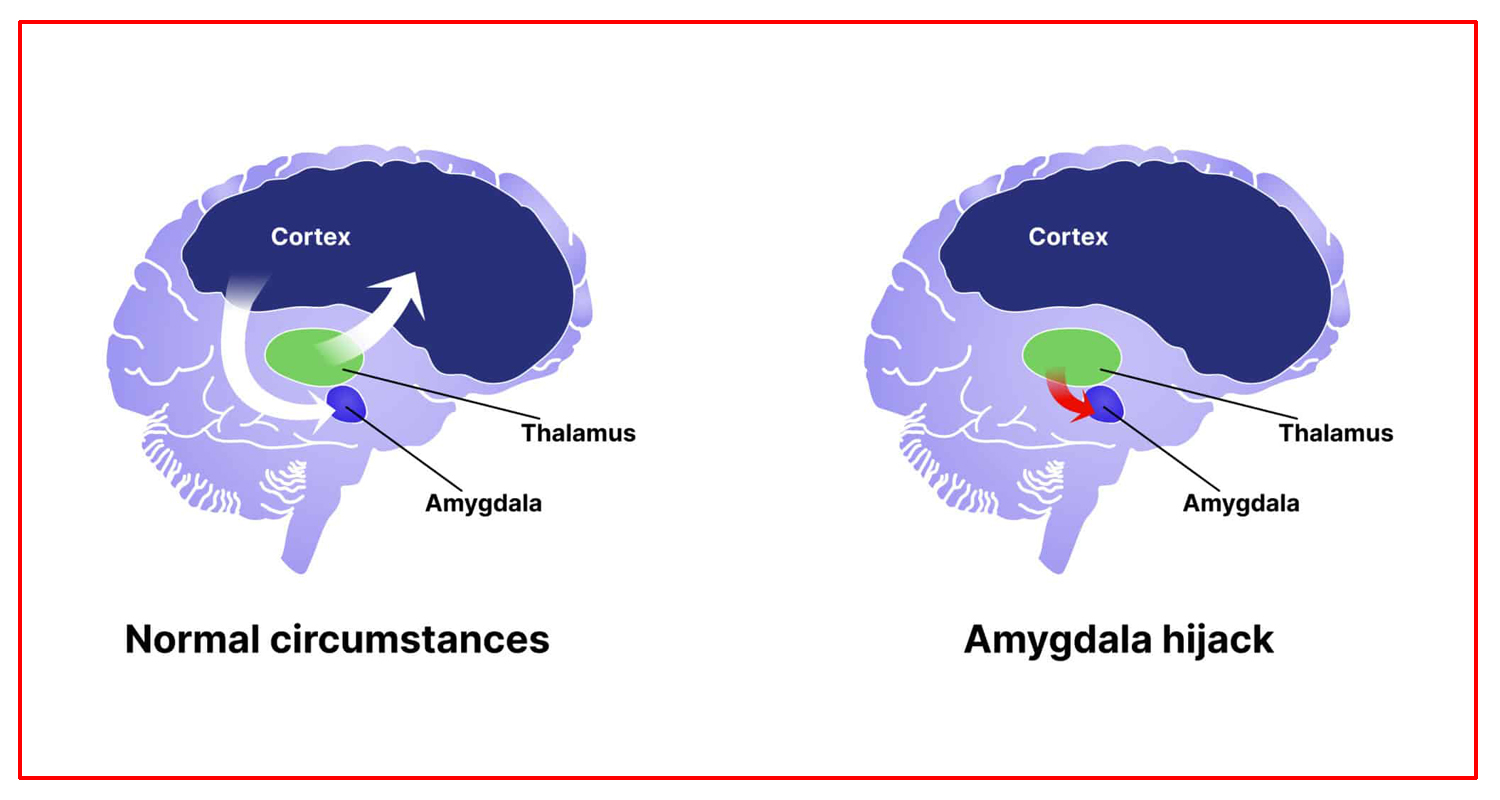 के हो एमिग्डाला हाइज्याक ?